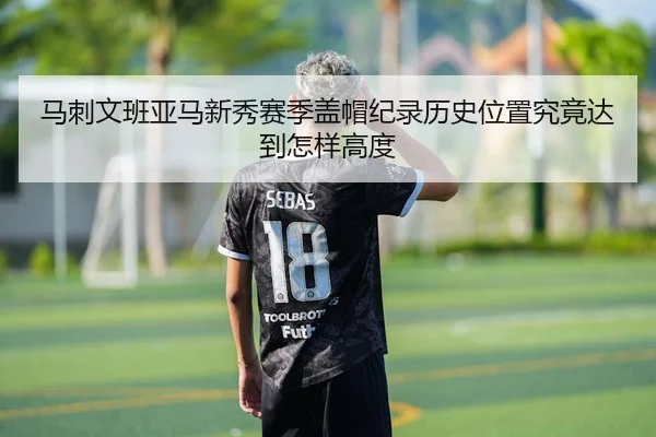 马刺文班亚马新秀赛季盖帽纪录历史位置究竟达到怎样高度