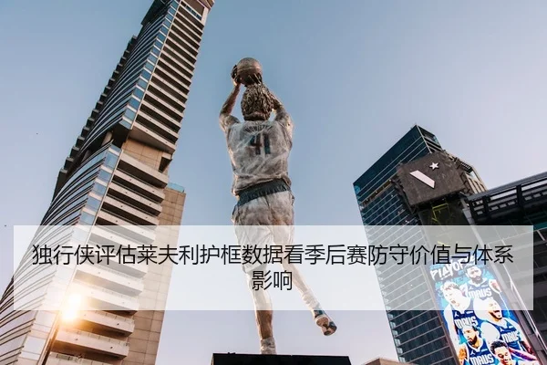 独行侠评估莱夫利护框数据看季后赛防守价值与体系影响